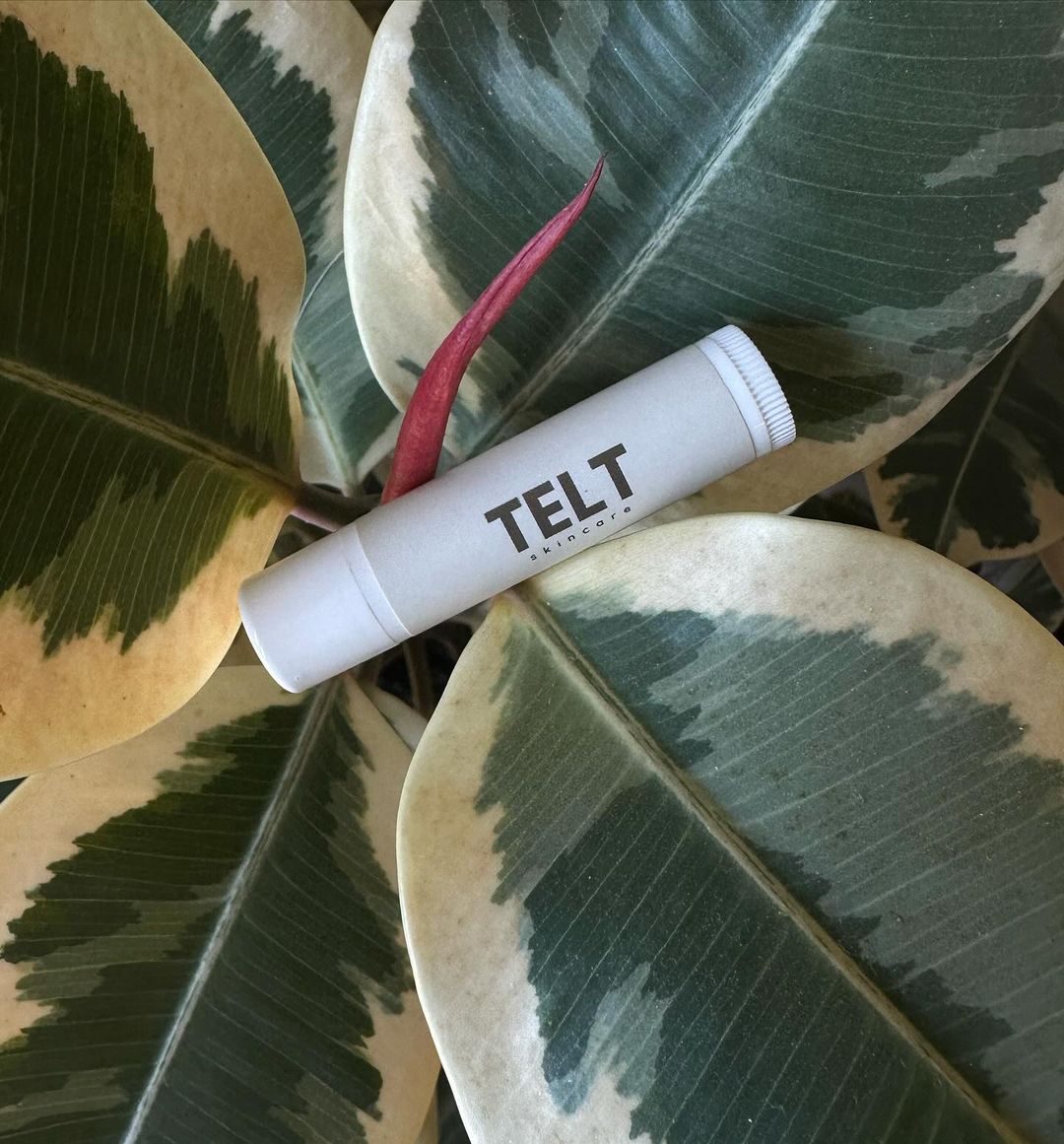 Telt Tallow Lip Balm